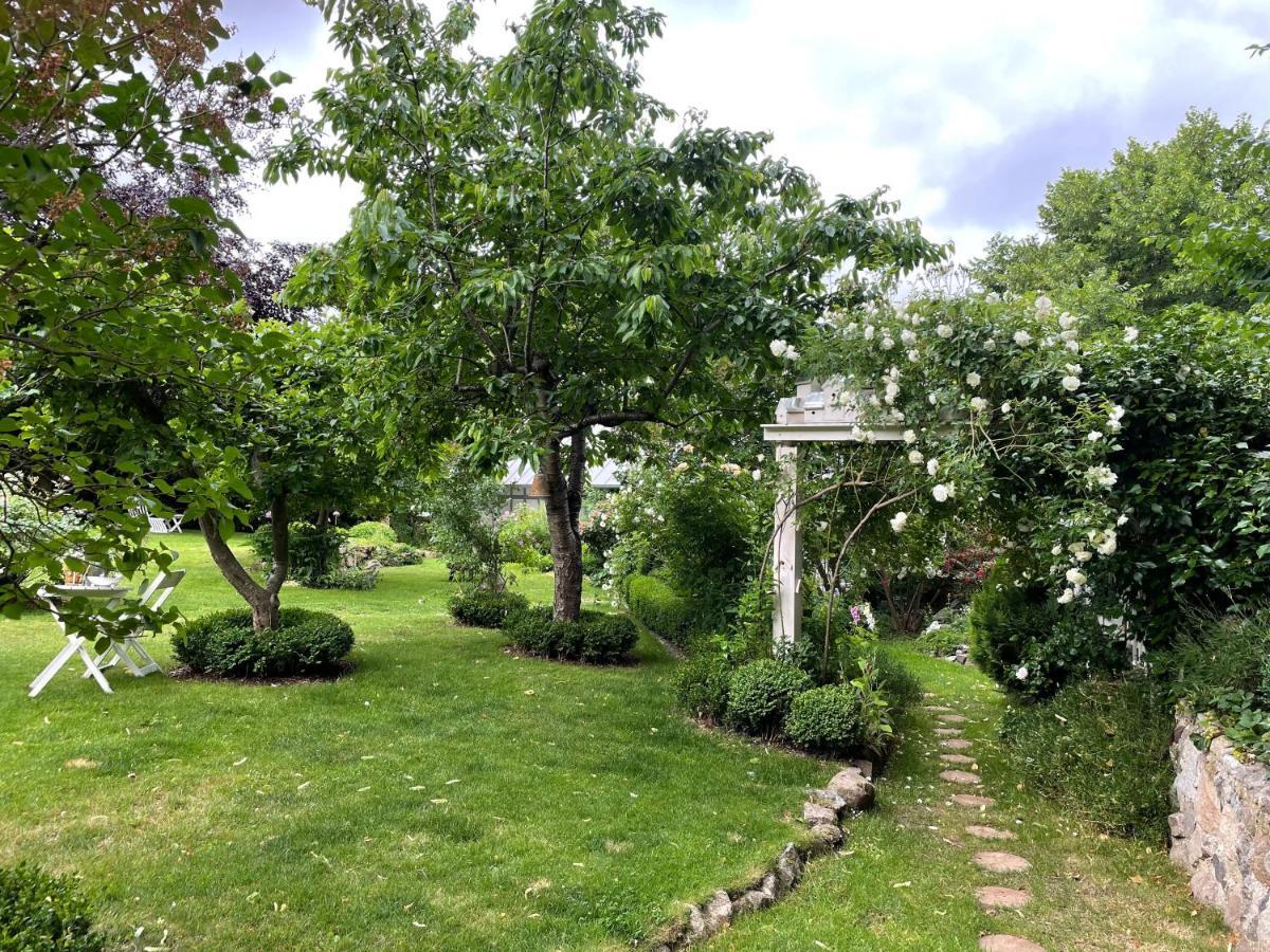 Kleine Ferienwohnungen - Stortebeker Ralswiek Exterior foto